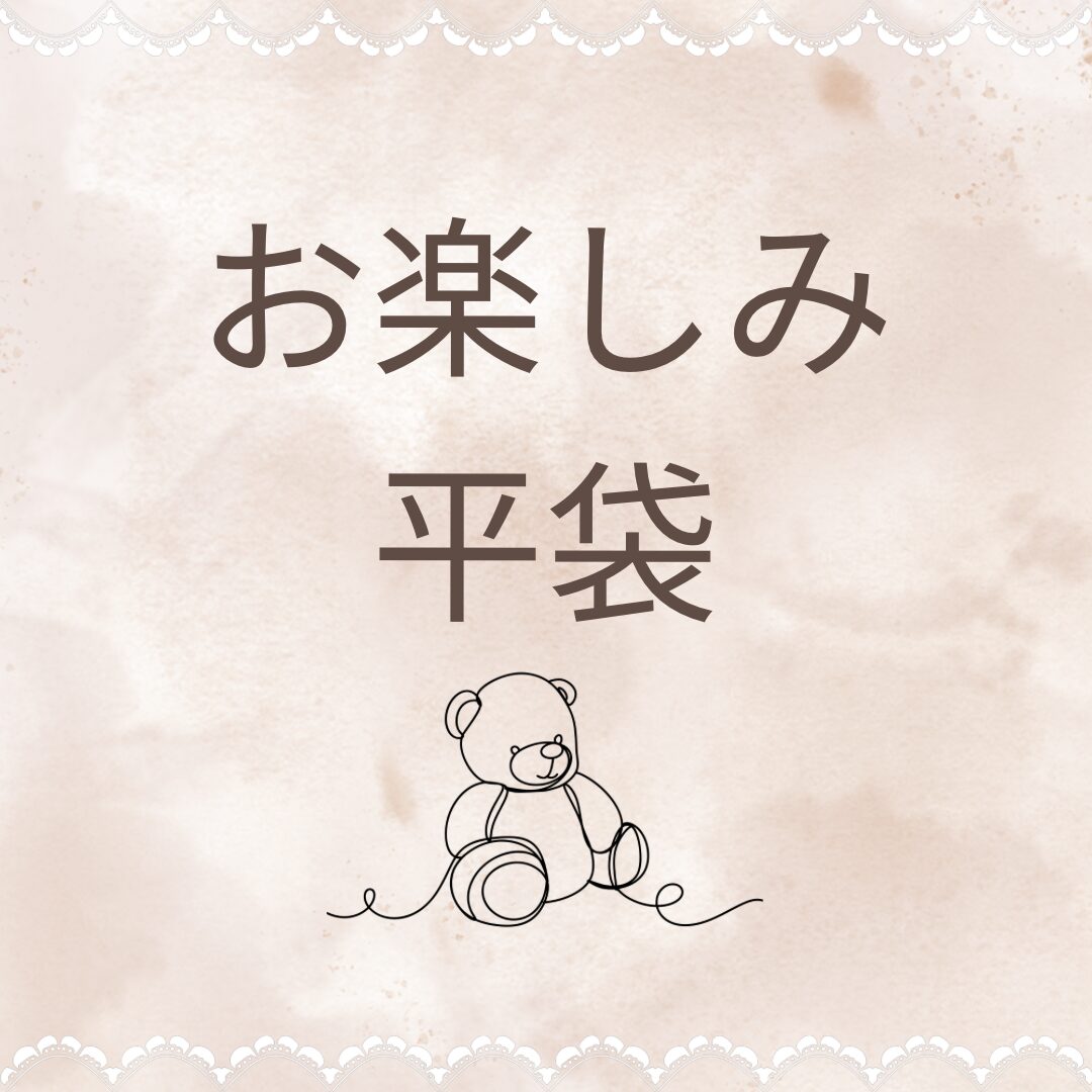お楽しみ平袋