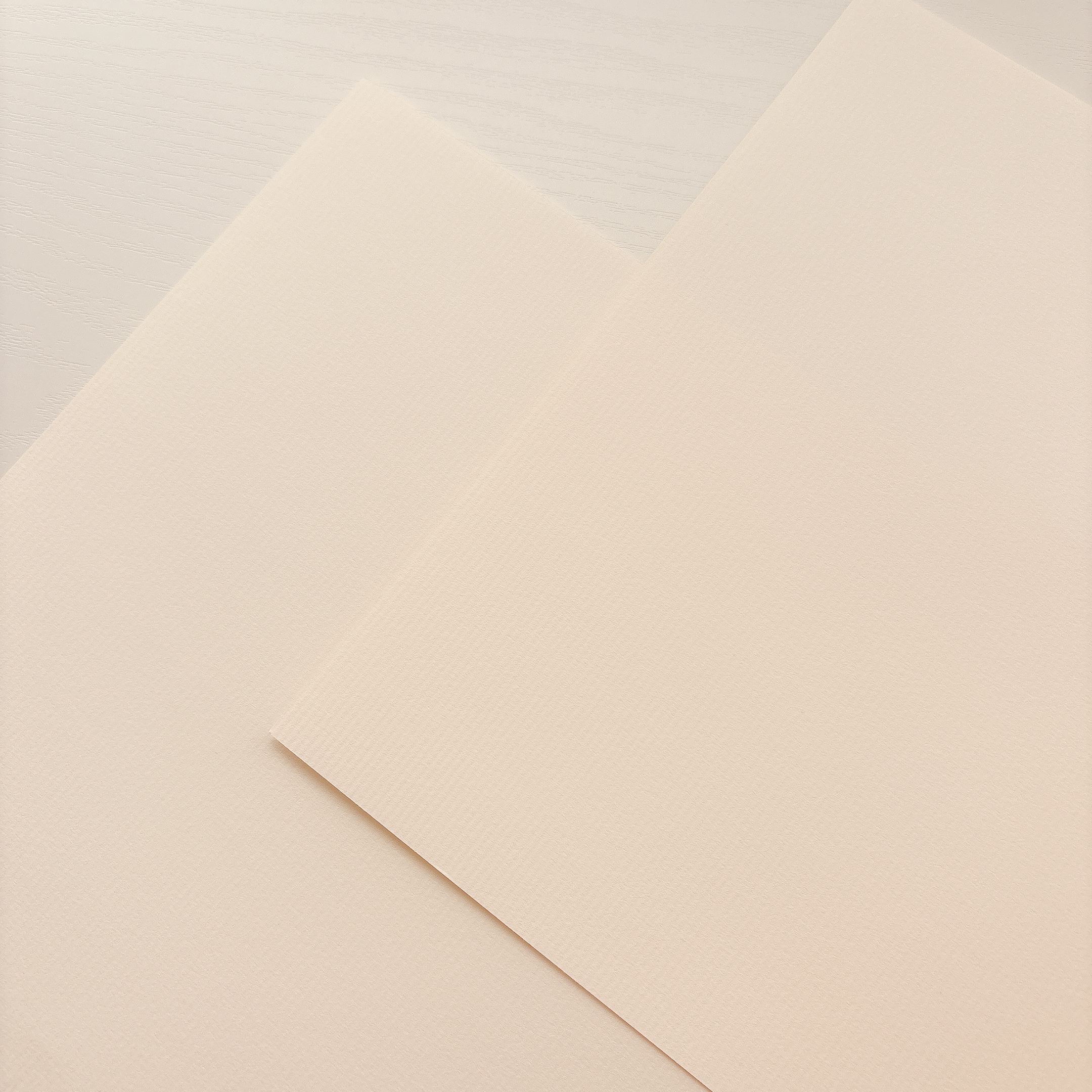 (特殊紙)ミューズコットン