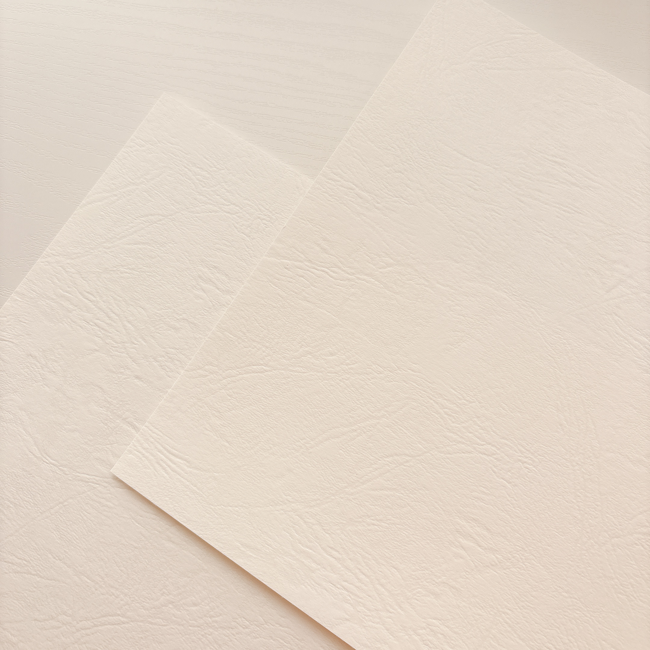 (特殊紙)レザック